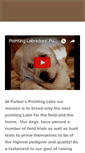 Mobile Screenshot of farberspointinglabs.com