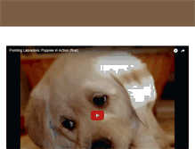 Tablet Screenshot of farberspointinglabs.com